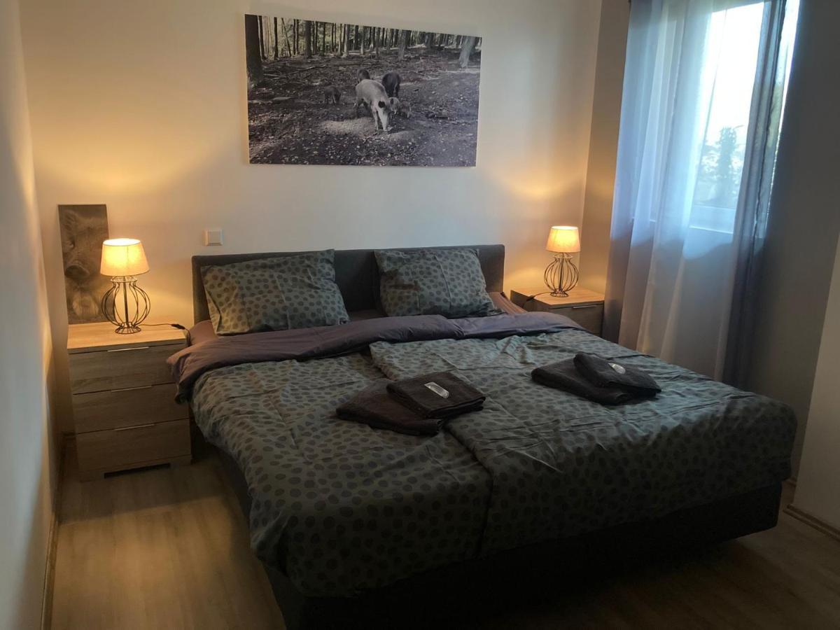 Comfortable 4-Person Apartments Winterberg Medebach Buitenkant foto